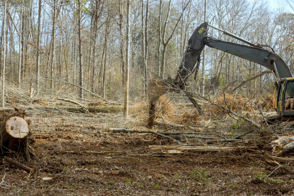 land clearing